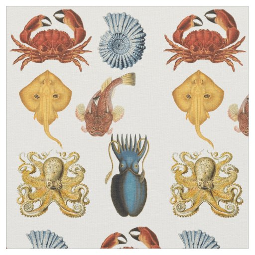 Unique Sea Beings Assortment Thunder_Cove Fabric