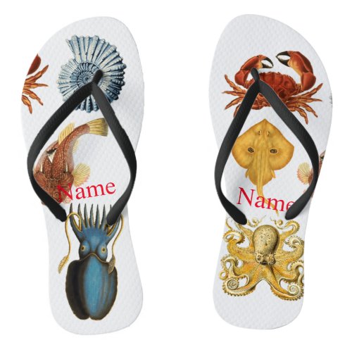 Unique Sea Beings Assortment Thunder_Cove  Flip Flops