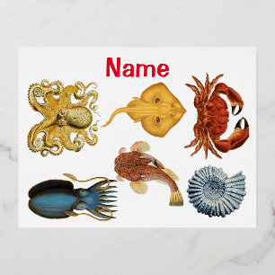 Unique Sea Beings Assortment Thunder_Cove Foil Holiday Postcard