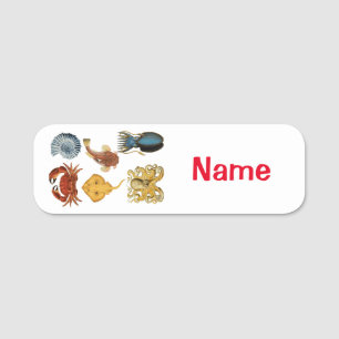 Unique Sea Beings Assortment Thunder_Cove Name Tag