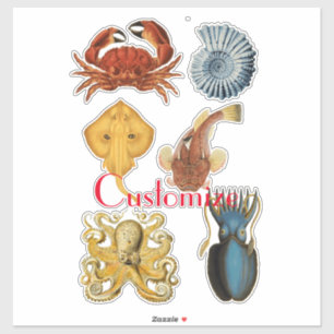 Unique Sea Beings Assortment Thunder_Cove Sticker