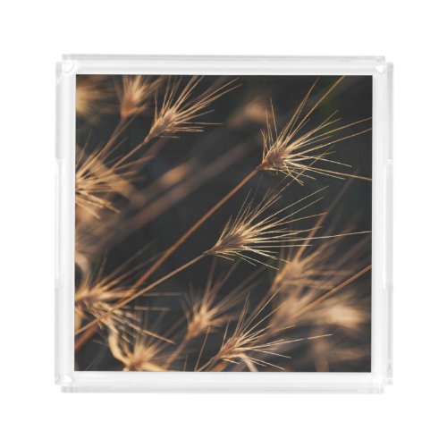 Unique Short Bursting Wild Grass Acrylic Tray