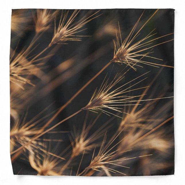 Unique Short Bursting Wild Grass Bandana (Front)