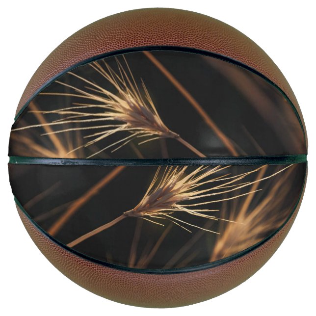 Unique Short Bursting Wild Grass Basketball (Front)