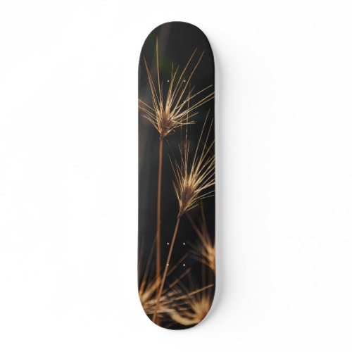 Unique Short Bursting Wild Grass Skateboard