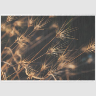 Unique Short Bursting Wild Grass Tissue Paper