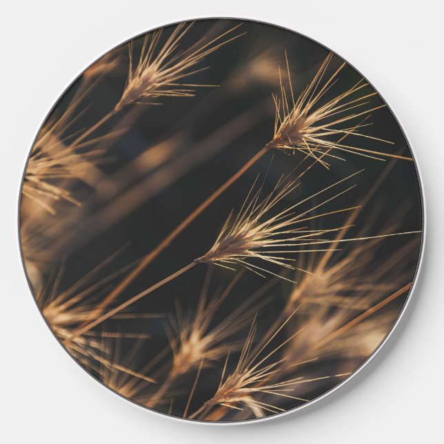 Unique Short Bursting Wild Grass Wireless Charger (Front)