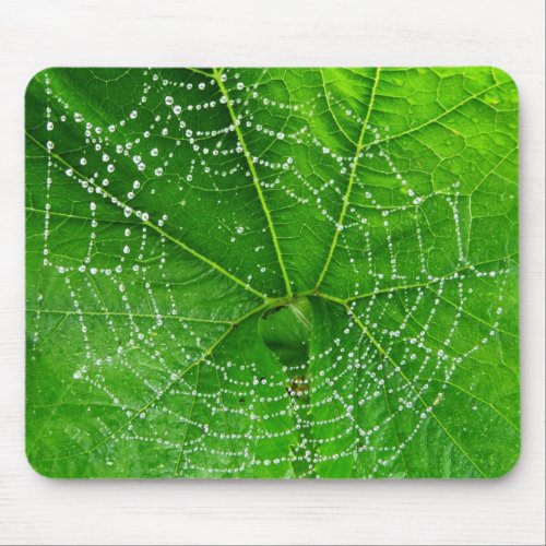 Unique Spiders Web Photo Designed Computer Mouse Pad