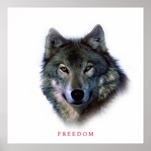 Unique Square Motivational Freedom Wolf Poster