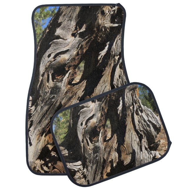 Unique Trees Woodland Nature Lover Car Floor Mat (Set)