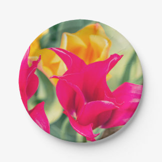 unique tulip plates