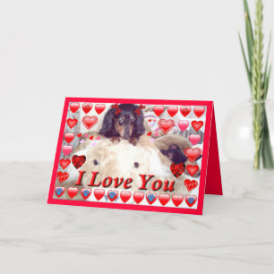 UNIQUE VALENTINES GIFTS - DACHSHUND GREETING CARDS