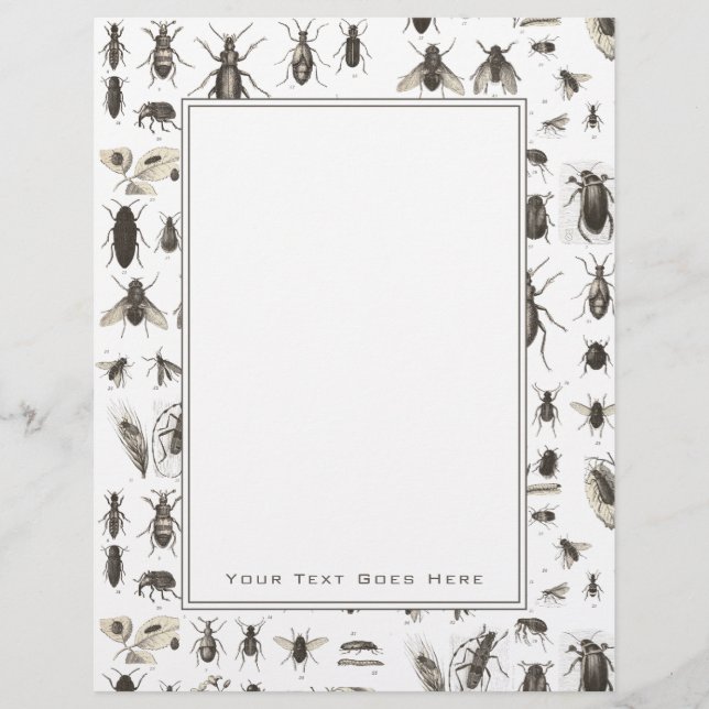 Unique Vintage Bug and Insect Pattern (Front)