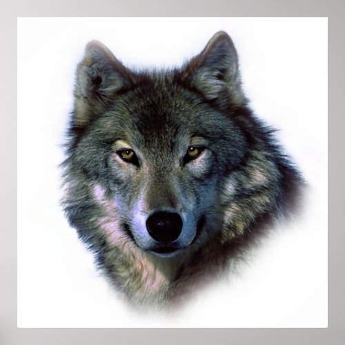 Unique Wolf Artwork Motivational Freedom Poster