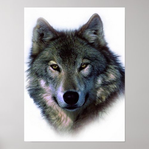Unique Wolf Eyes Artwork Freedom Poster