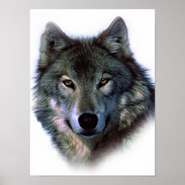 Unique Wolf Eyes Artwork Freedom Poster (Front)