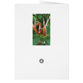 Unique Yellow Flower Missing You Card (Back)