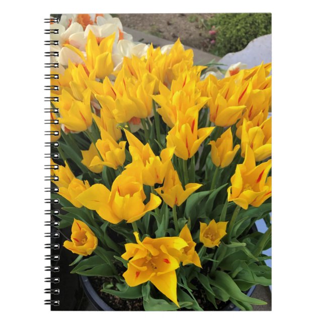 Unique Yellow Tulips Notebook (Front)