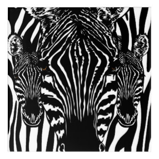 Unique Zebra Head on Zebra Print Fine Art
