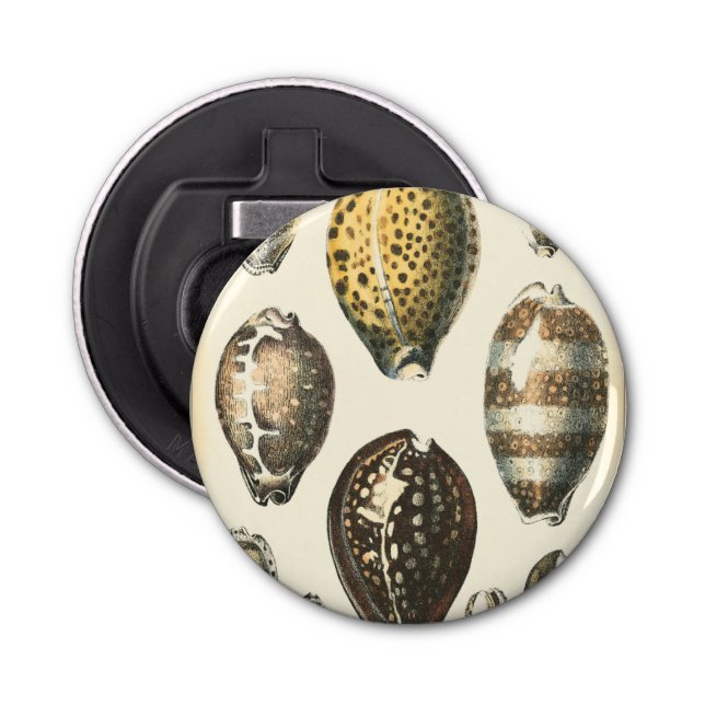 Uniquely Shaped Seashells Bottle Opener (Front)