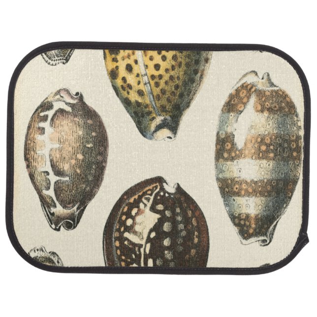 Uniquely Shaped Seashells Car Floor Mat (Rear)