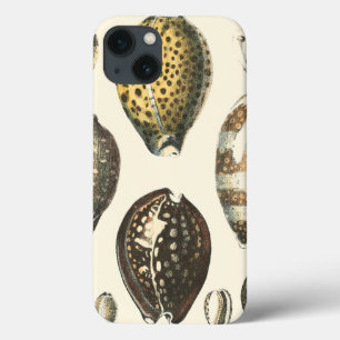 Uniquely Shaped Seashells iPhone 13 Case