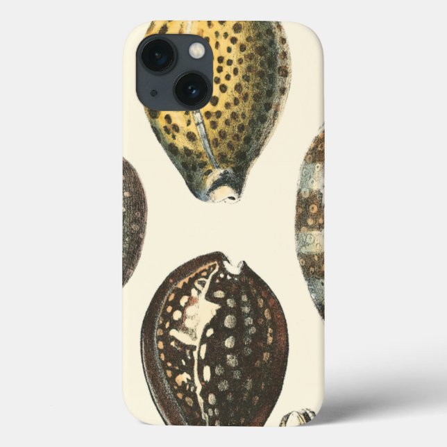 Uniquely Shaped Seashells Case-Mate iPhone Case (Back)