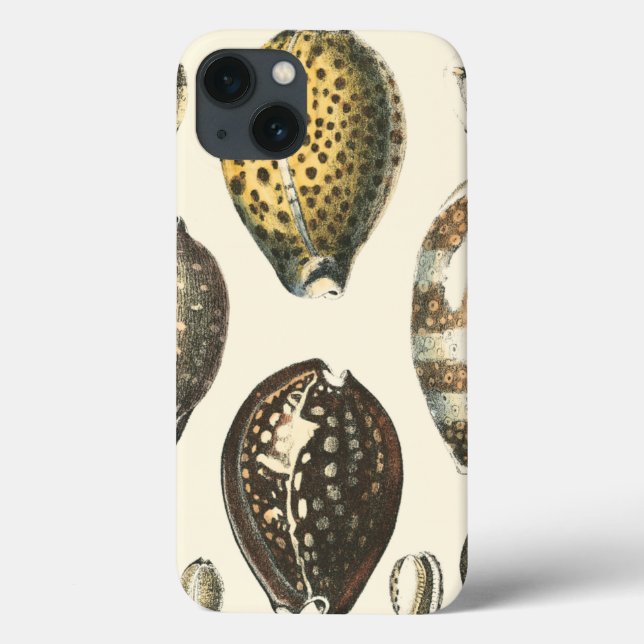 Uniquely Shaped Seashells Case-Mate iPhone Case (Back)
