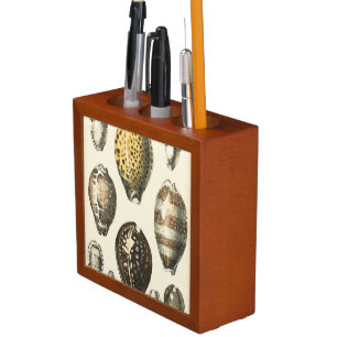 Uniquely Shaped Seashells Desk Organizer