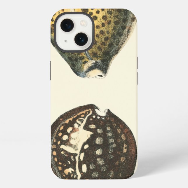 Uniquely Shaped Seashells Iphone Case (Back)