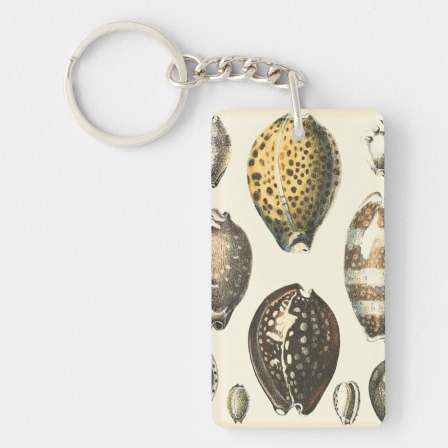 Uniquely Shaped Seashells Keychain (Front)