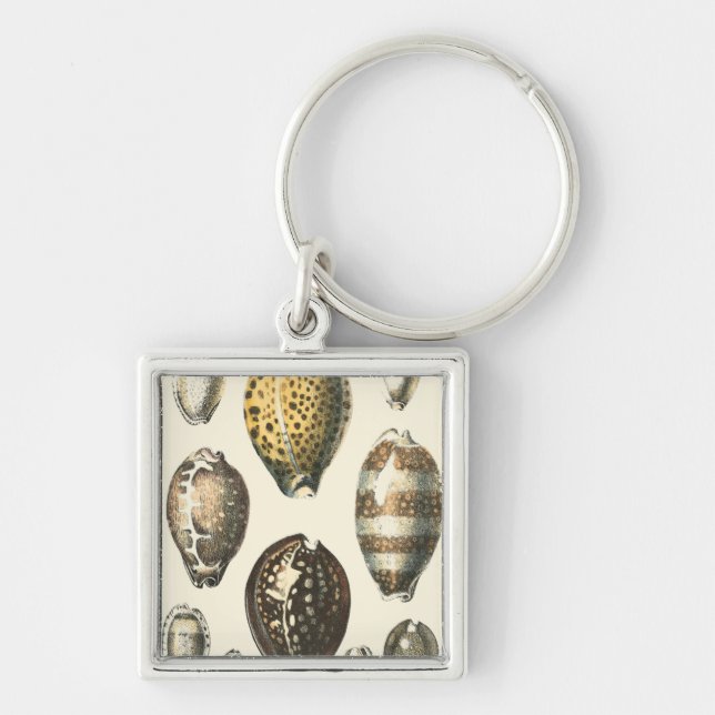 Uniquely Shaped Seashells Keychain (Front)