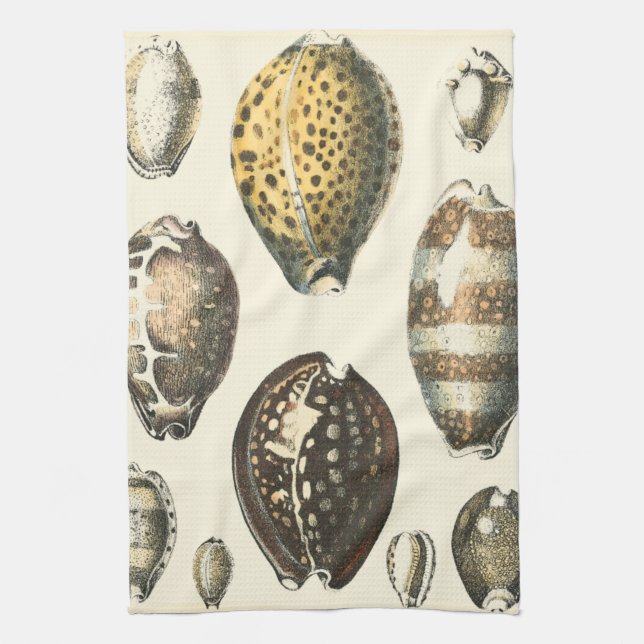 Uniquely Shaped Seashells Kitchen Towel (Vertical)