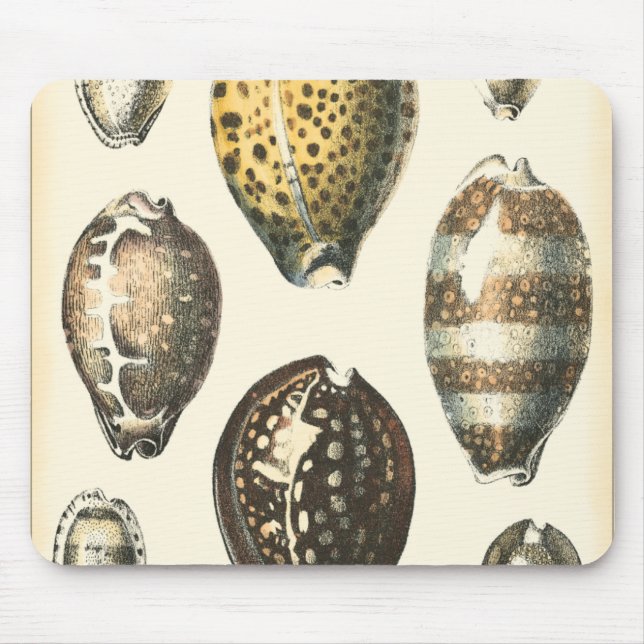 Uniquely Shaped Seashells Mouse Pad (Front)
