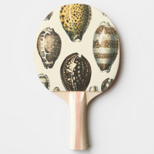 Uniquely Shaped Seashells Ping Pong Paddle