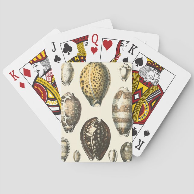 Uniquely Shaped Seashells Poker Cards (Back)