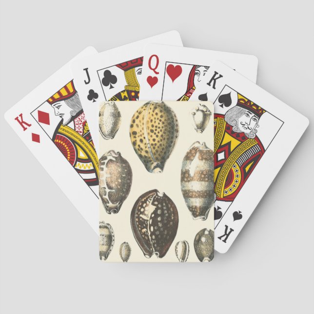 Uniquely Shaped Seashells Poker Cards (Back)
