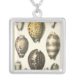 Uniquely Shaped Seashells Silver Plated Necklace
