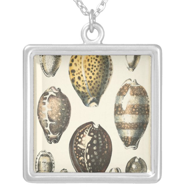 Uniquely Shaped Seashells Silver Plated Necklace (Front)