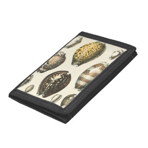 Uniquely Shaped Seashells Trifold Wallet