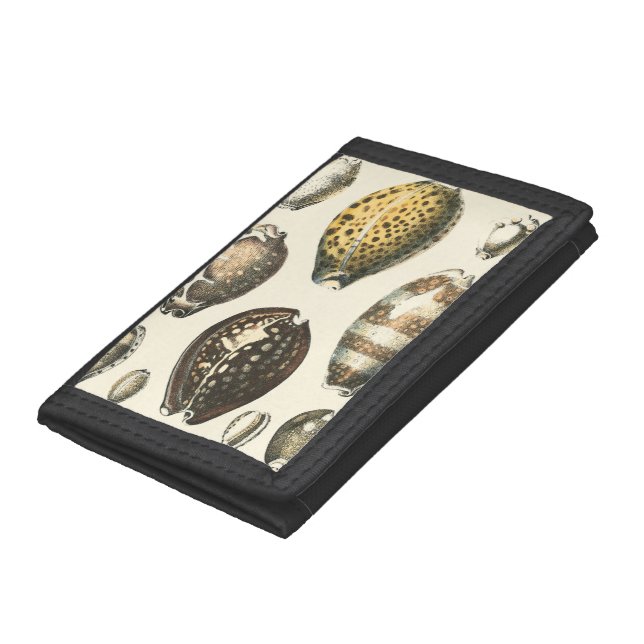 Uniquely Shaped Seashells Trifold Wallet (Bottom)