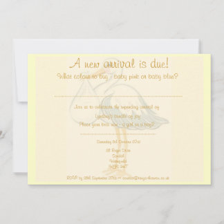 Unisex Baby Shower Invitation - Boy or Girl