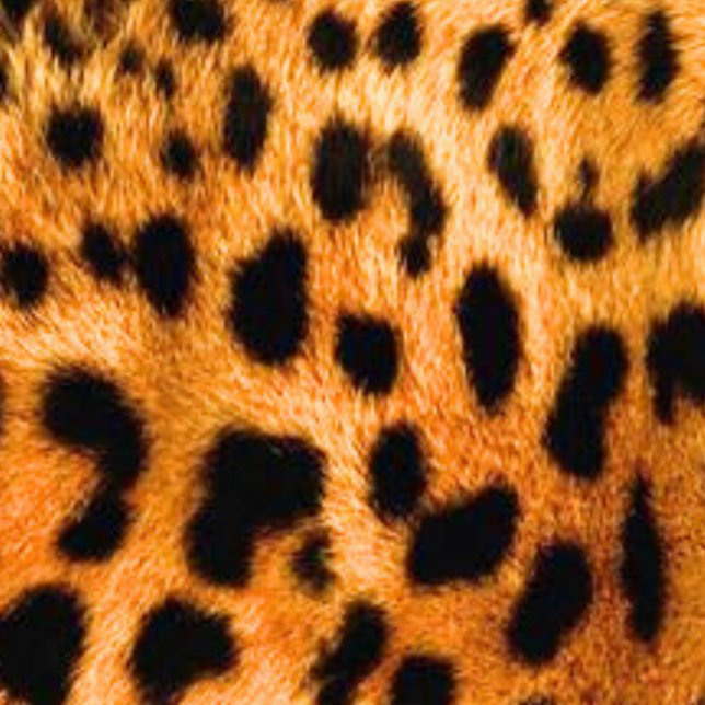 Unisex Sweatshirt (Creator Uploaded)