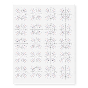 Unit Circle Temporary Tattoos