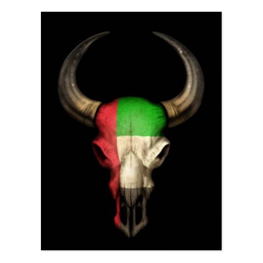 United Arab Emirates Flag Bull Skull on Black Postcard