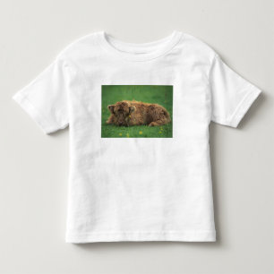 United Kingdom, Scotland. Highland calf Toddler T-shirt