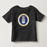 United States Air Force Emblem