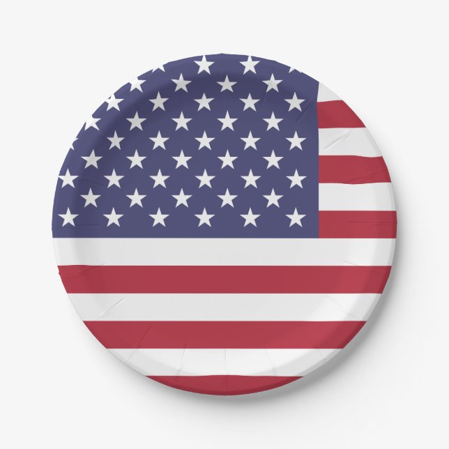 United States (American) Flag Paper Plates (Front)
