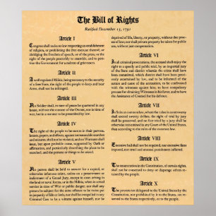United States Bill of Rights First Ten Amendments Poster