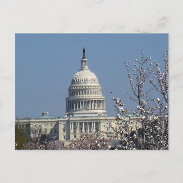 United States Capitol Building Washington DC 002 Postcard (Front)